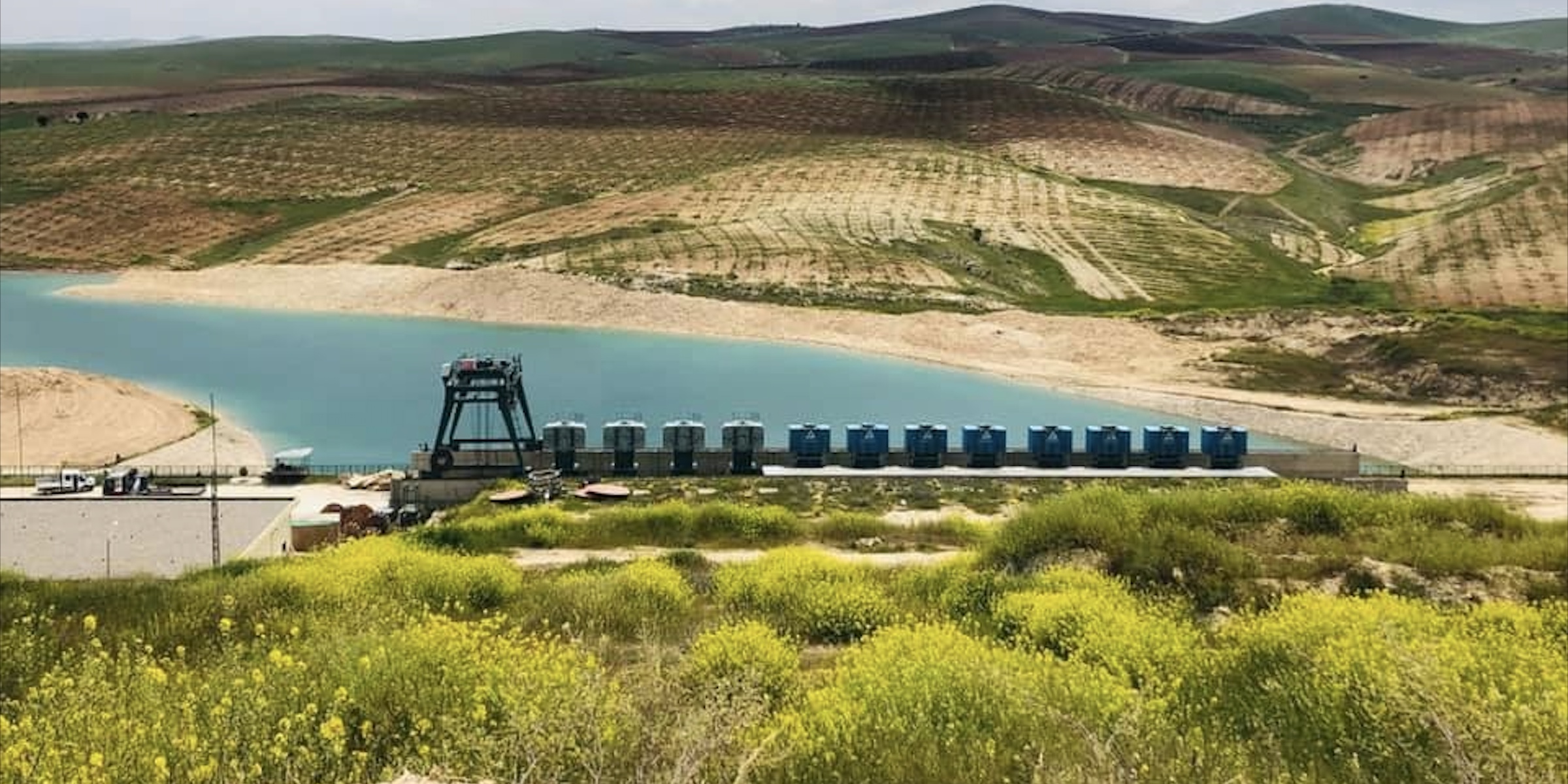  study-area-placeholder